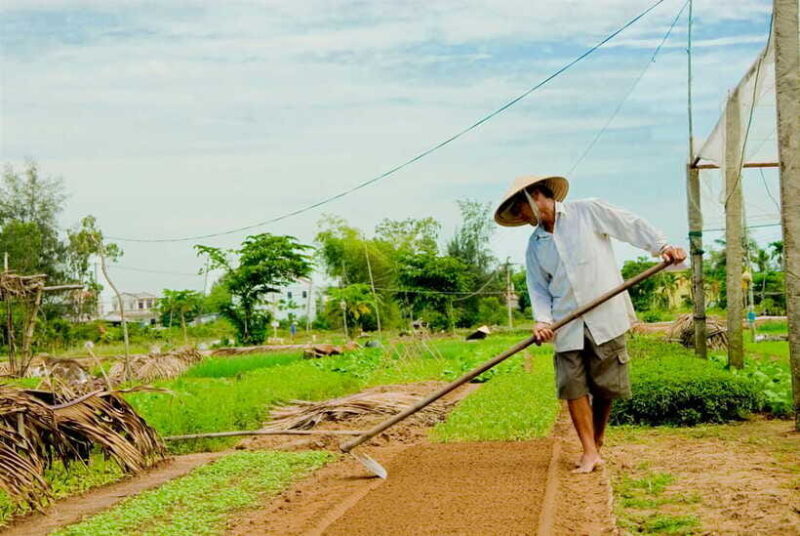Hoian/Da Nang: Fishing, basket riding and cooking class - Real Guest Perspectives