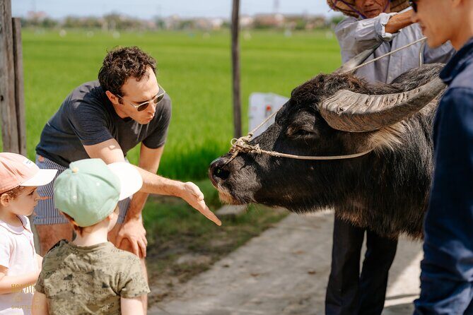 HoiAnGO Experience Local Life: Countryside by Electric Car - Considerations & Practical Info