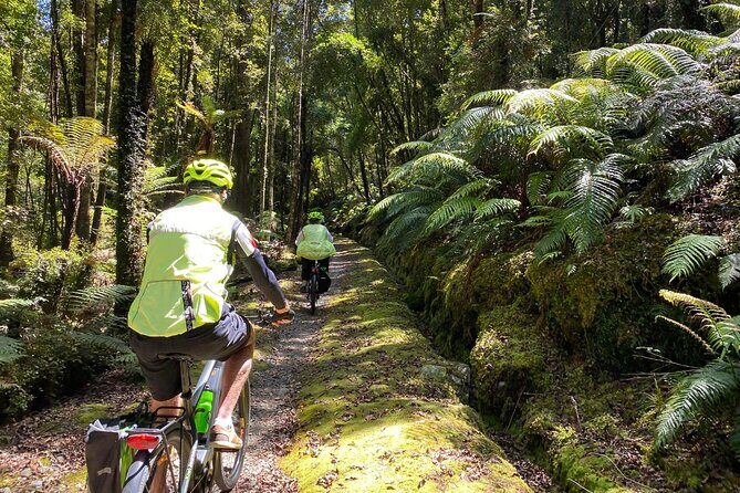 Hokitika Gorge Walk and Wilderness Trail Tour by eBike - Final Thoughts: Who Should Consider This Tour?