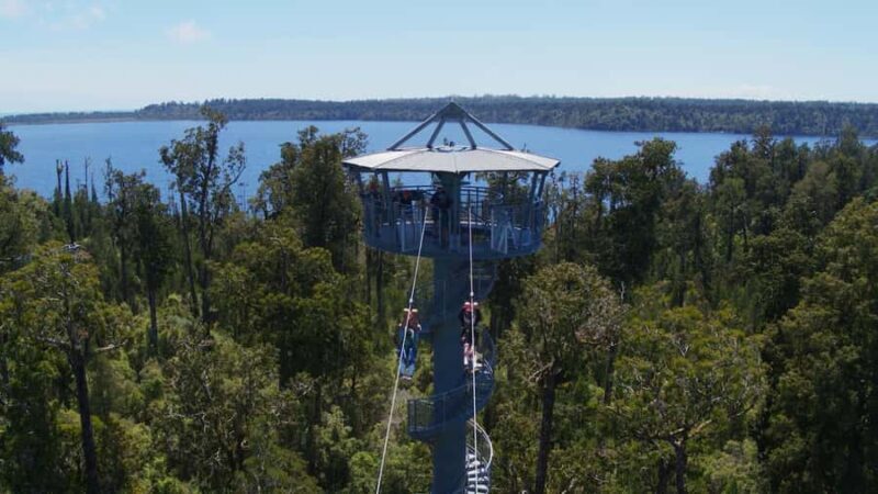 Hokitika: West Coast Tree Top Tower Zip Line and Walk - Experience Overview: From Forest Floors to Sky-High Views