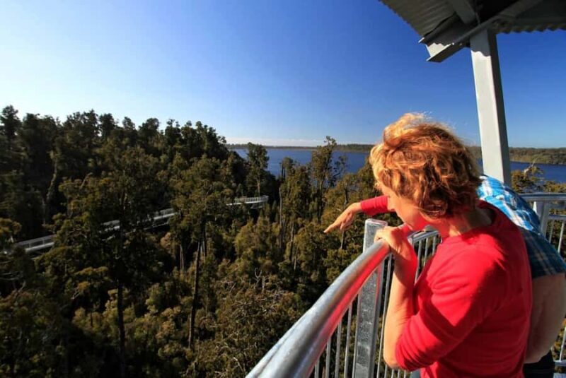 Hokitika: West Coast Tree Top Tower Zip Line and Walk - Post-Adventure Relaxation: The On-Site Café