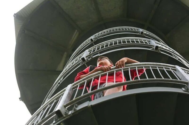 Hokitika: West Coast Treetop Walkway Entrance Ticket - An In-Depth Look at the Experience
