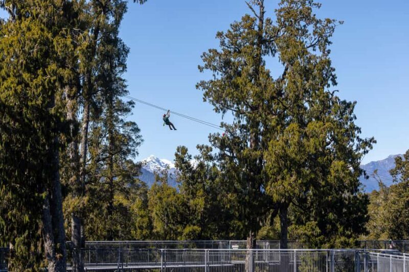 Hokitika: West Coast Treetop Walkway Entrance Ticket - Final Thoughts: Is It Worth It?