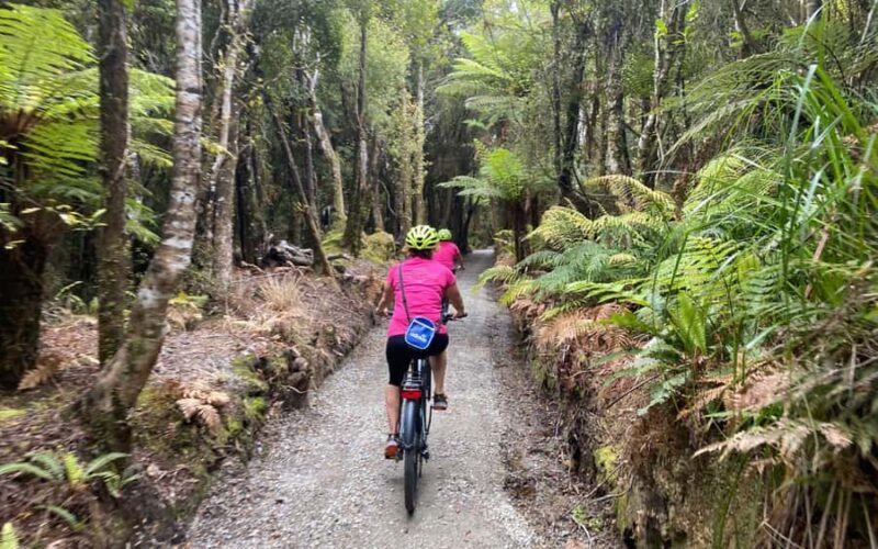 Hokitika: Wilderness Trail eBike Tour & Hokitika Gorge Walk - Final Thoughts: Is This Tour For You?