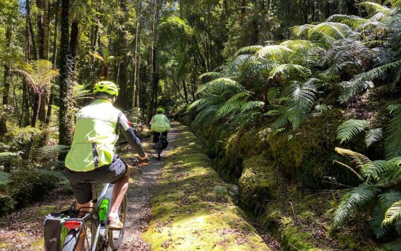 Hokitika: Wilderness Trail eBike Tour & Hokitika Gorge Walk - Frequently Asked Questions