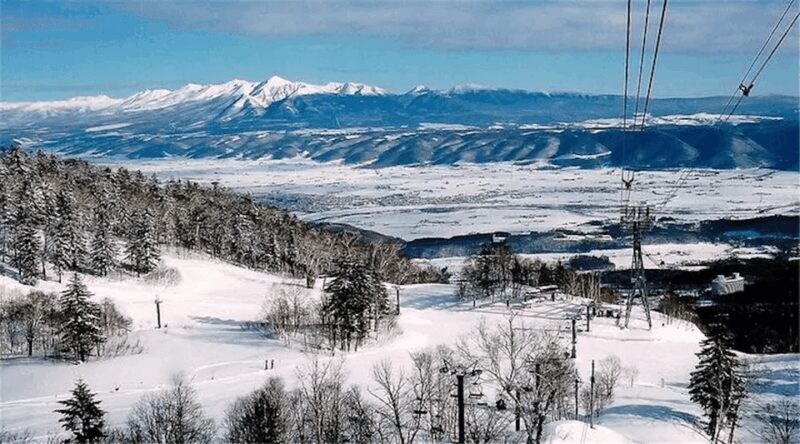 Hokkaido 10-hour chartered day tripFurano - An In-Depth Look at the Experience
