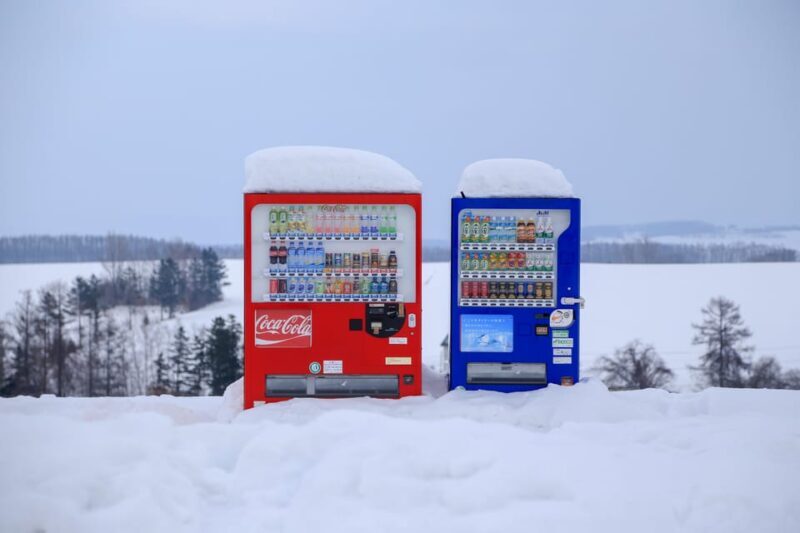 Hokkaido 10-hour chartered day tripOtaru - An Introduction to the Experience