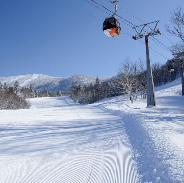 Hokkaido 10-hour chartered day tripOtaru - Transportation & Comfort
