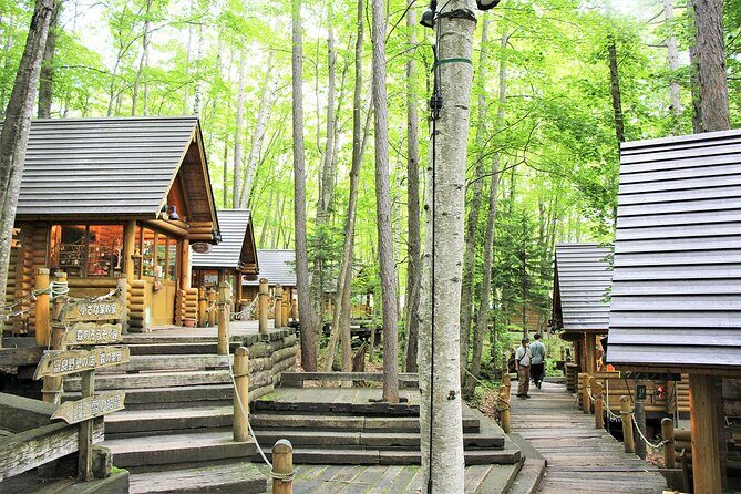 Hokkaido Asahiyama Zoo, Biei & Ningle Terrace Day Tour | Hokkaido - Authentic Insights from Travelers