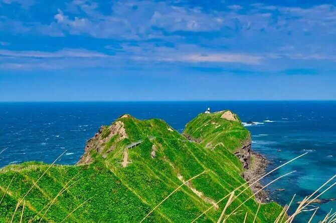Hokkaido Cape Kamui Shimamui Coast Otaru Day Tour from Sapporo - An In-Depth Look at the Tour Experience