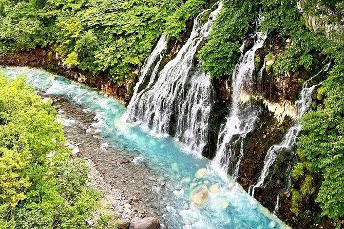 Hokkaido Farm Tomita Shikisai Hill Waterfall& Blue Pond Day Tour - Key Points