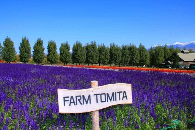 Hokkaido Farm Tomita Shikisai Hill Waterfall& Blue Pond Day Tour - An Introduction to the Tour Experience