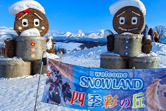 Hokkaido Farm Tomita Shikisai Hill Waterfall& Blue Pond Day Tour - Authentic Experiences and Traveler Feedback