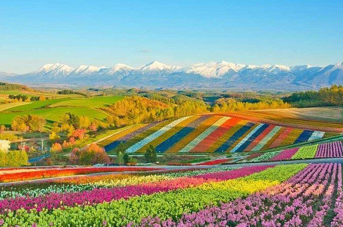 Hokkaido Flowers and Blue Pond Tour - Why Choose This Tour?