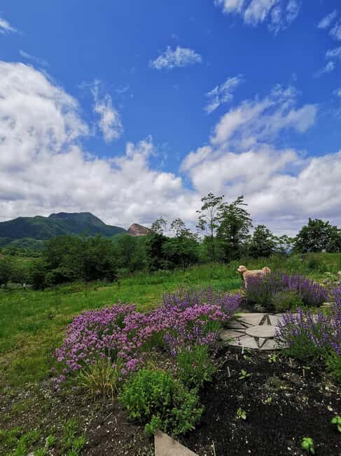 Hokkaido Nature and Gourmet Experience (near Lake Toya) - A Feast of Local Flavors