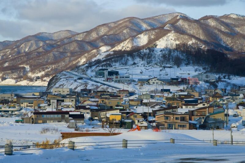 Hokkaido Niseko Ski Day Tour - Who Should Consider This Tour?