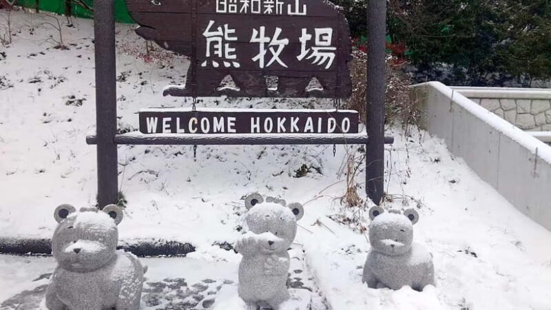 Hokkaido Seasonal: Lake Toya & Noboribetsu Jigokudani Valley - Key Points