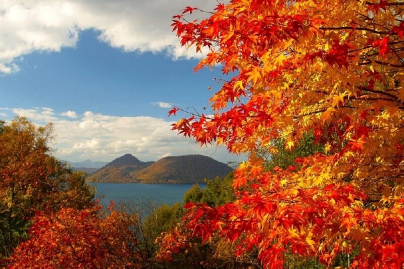 HokkaidoNoboribetsu & Lake Toya Tour with Ropeway Ticket - The Itinerary: What to Expect
