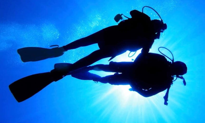 Hol Chan Marine Park night dive - What Past Participants Say