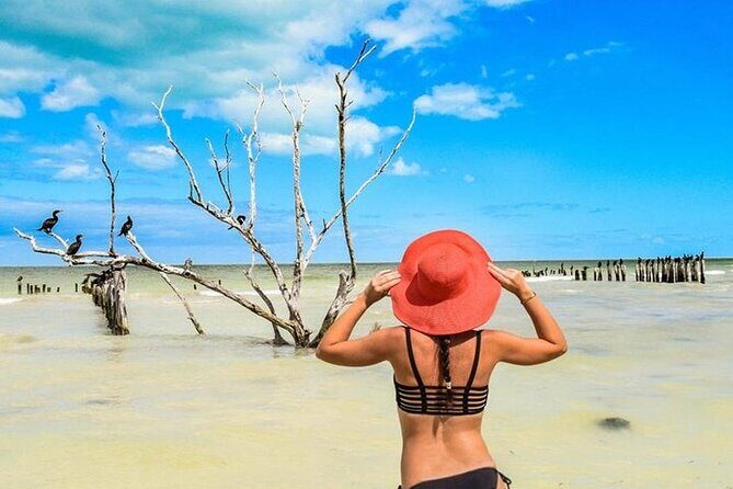 Holbox adventure and Pasion Island Cenote - Key Points