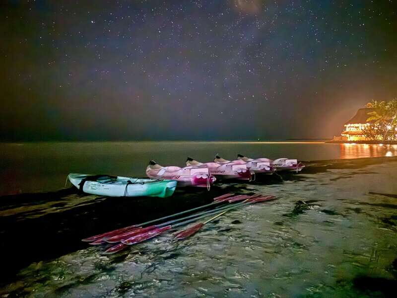 Holbox: Bioluminescence by Kayak and Stargazing. - The Experience: A Closer Look at What You Can Expect