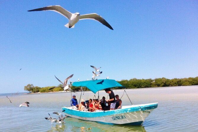 Holbox, Cenote & Isla Pasion from Cancun & Playa del Carmen - Who Should Consider This Tour?