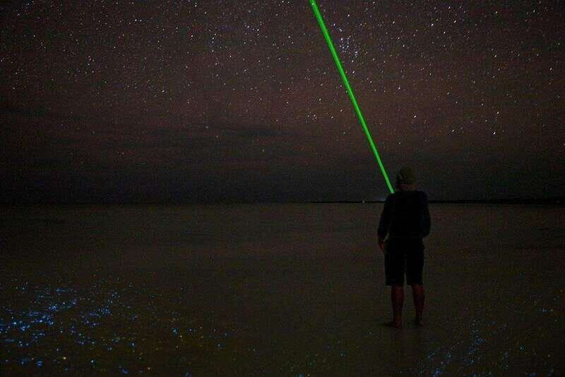 Holbox: Guided Bioluminescence Kayaking Tour - Who Will Love This Experience?