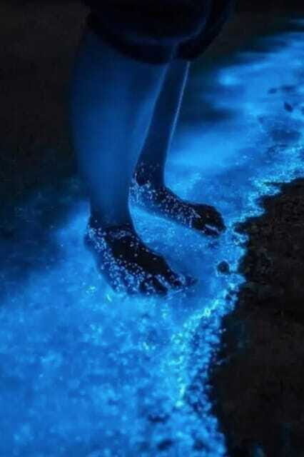 Holbox: Guided Bioluminescence Kayaking Tour - FAQs