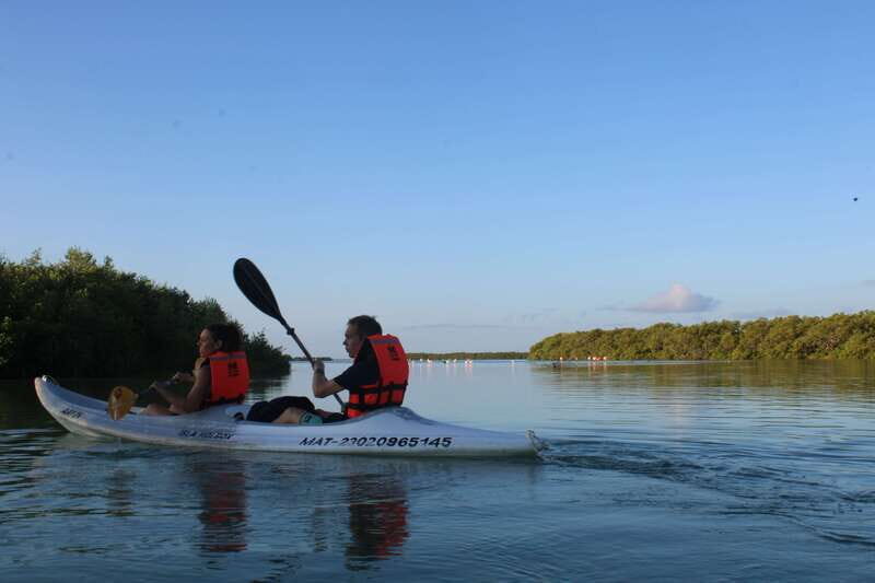 Holbox: Guided Sunrise/Sunset Kayak Tour by Mangrove Reserve - Introduction to the Tour