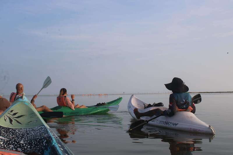 Holbox: Guided Sunrise/Sunset Kayak Tour by Mangrove Reserve - What to Expect from the Experience