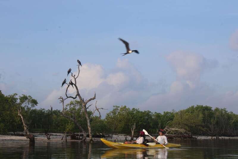 Holbox: Guided Sunrise/Sunset Kayak Tour by Mangrove Reserve - Final Thoughts: Is It Worth It?