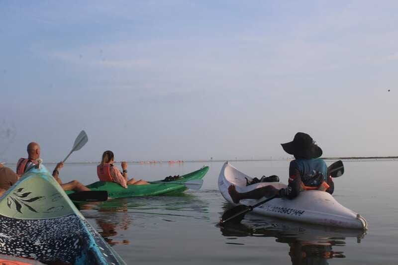 Holbox: Guided Sunrise/Sunset Kayak Tour by Mangrove Reserve - FAQs