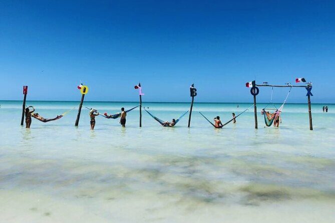 Holbox Island Experience with Lunch - The Full Experience: What to Expect from the Tour