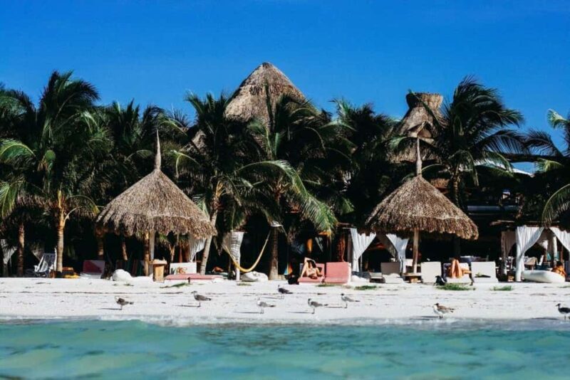 Holbox Island: Feel the Pristine Nature Around You - The Experience: What Travelers Say