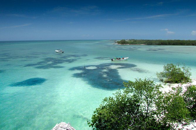 Holbox Island Tour From Cancun - Final Thoughts on the Holbox Island Tour from Cancun