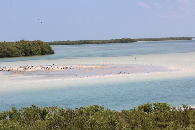 Holbox Island Tour From Cancun - Frequently Asked Questions
