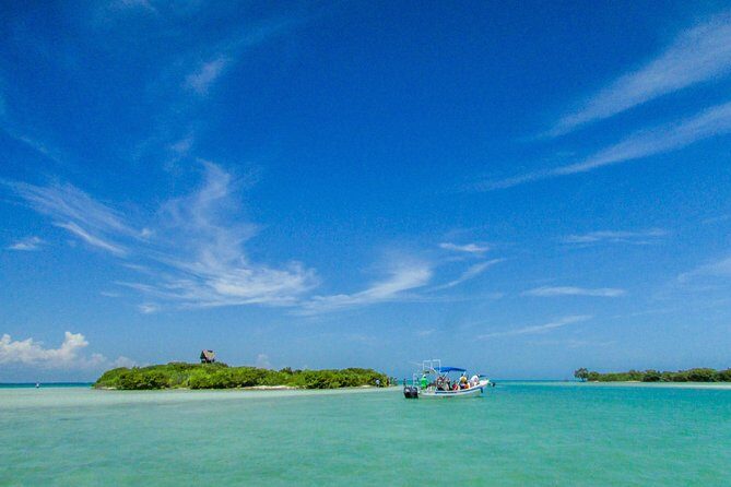 Holbox Island Tour from Cancun - What Travelers Say