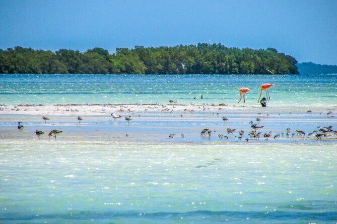 Holbox Island Tour from Cancun - FAQ