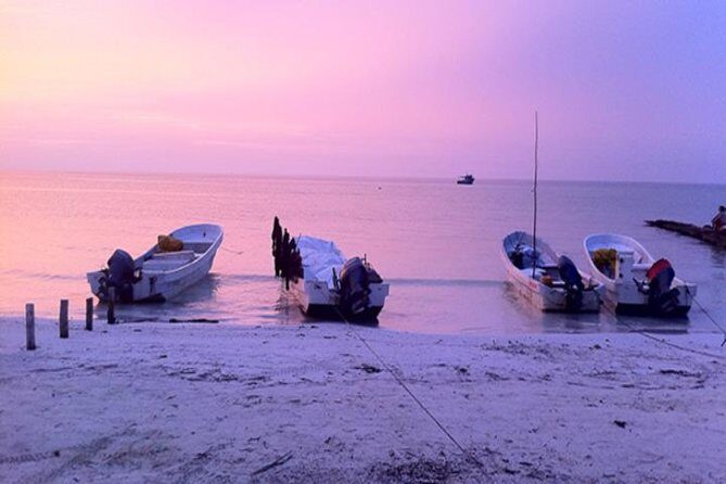 HOLBOX ISLAND TOUR - from Holbox (Private) - Practical Tips for Booking and Enjoying the Tour