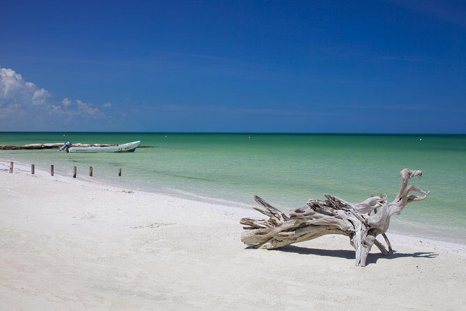 HOLBOX ISLAND TOUR - from Holbox (Private) - Testimonials & Authentic Feedback