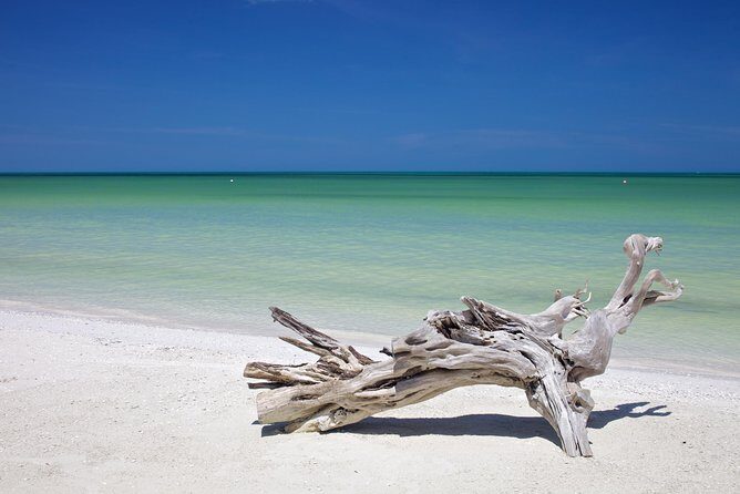 HOLBOX ISLAND TOUR - from Holbox (Private) - Pricing & Value