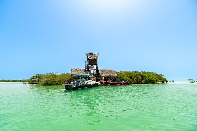 Holbox Island Tour in Mexico with Lunch - Discovering the Tour Experience