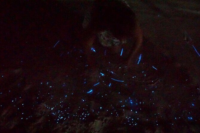 Holbox Kayak Bioluminescence Experience - The Experience in Detail