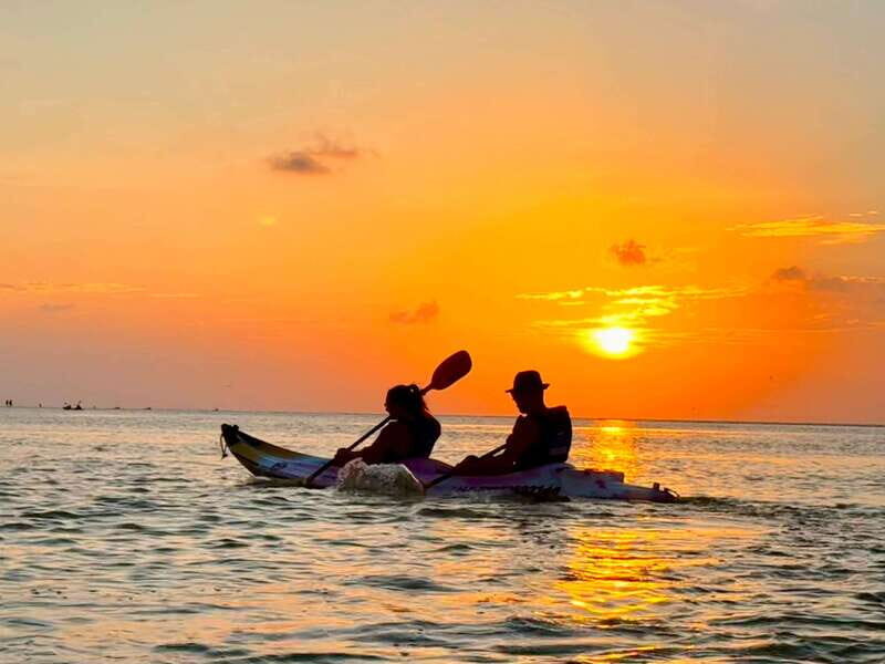 Holbox: Mangrove Sunset Kayak Tour - An In-Depth Look at the Tour
