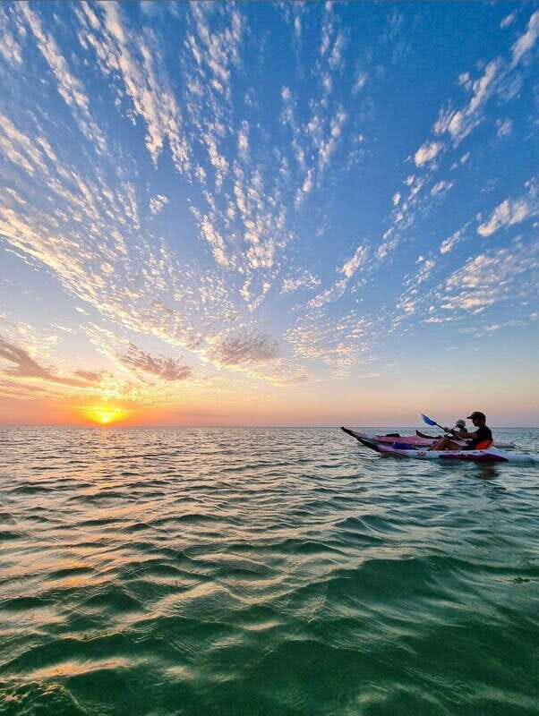 Holbox: Mangrove Sunset Kayak Tour - Authentic Reviews and Experiences