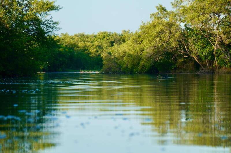 Holbox: Mangrove Sunset Kayak Tour - Final Thoughts