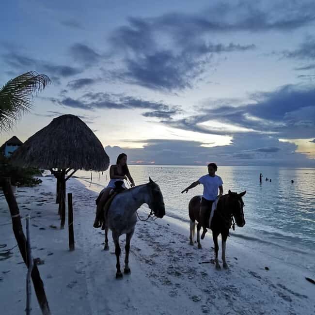 Holbox: Private Horseback Riding - Key Points