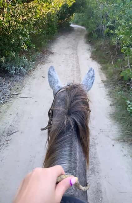 Holbox: Private Horseback Riding - The Practical Side: Booking, Price, and More