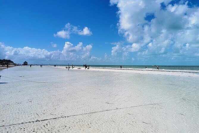 Holbox Punta Mosquito By Ferry only from Playa del Carmen - Final Thoughts
