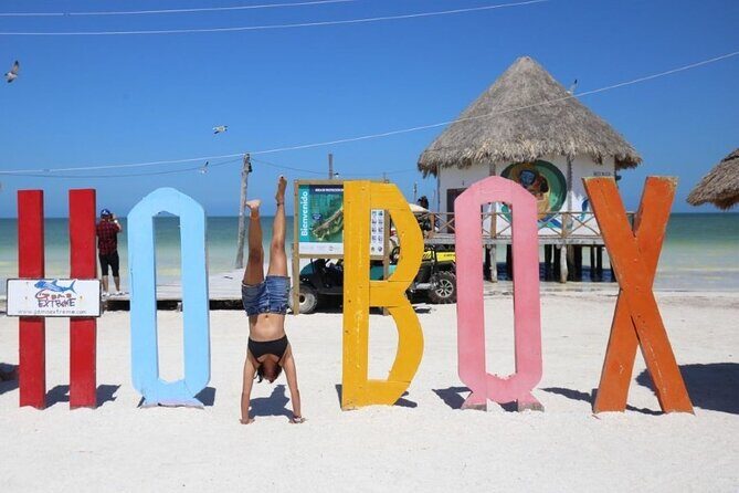 Holbox Punta Mosquitos + Transportation from Riviera Maya - Practical Details: Transportation, Timing, and Cost